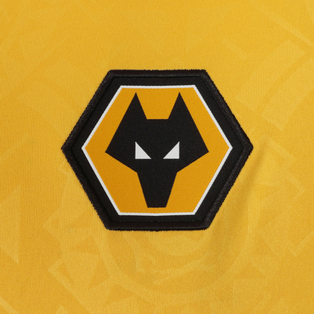 2025-26 Wolverhampton Wanderers FC
