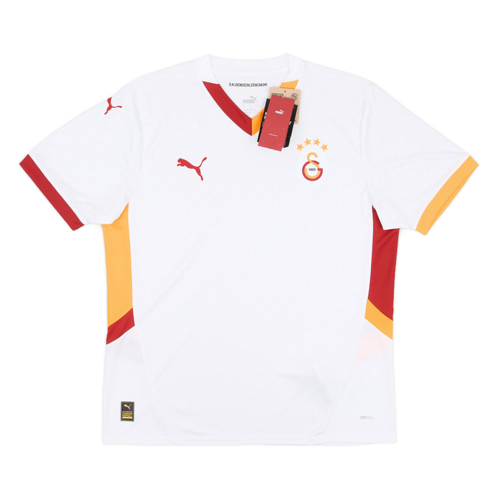 2024-25 Galatasaray SK