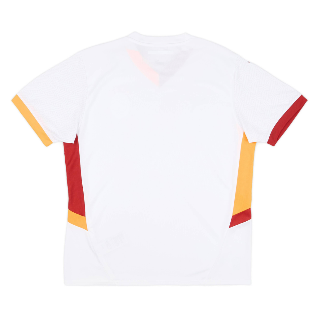 2024-25 Galatasaray SK