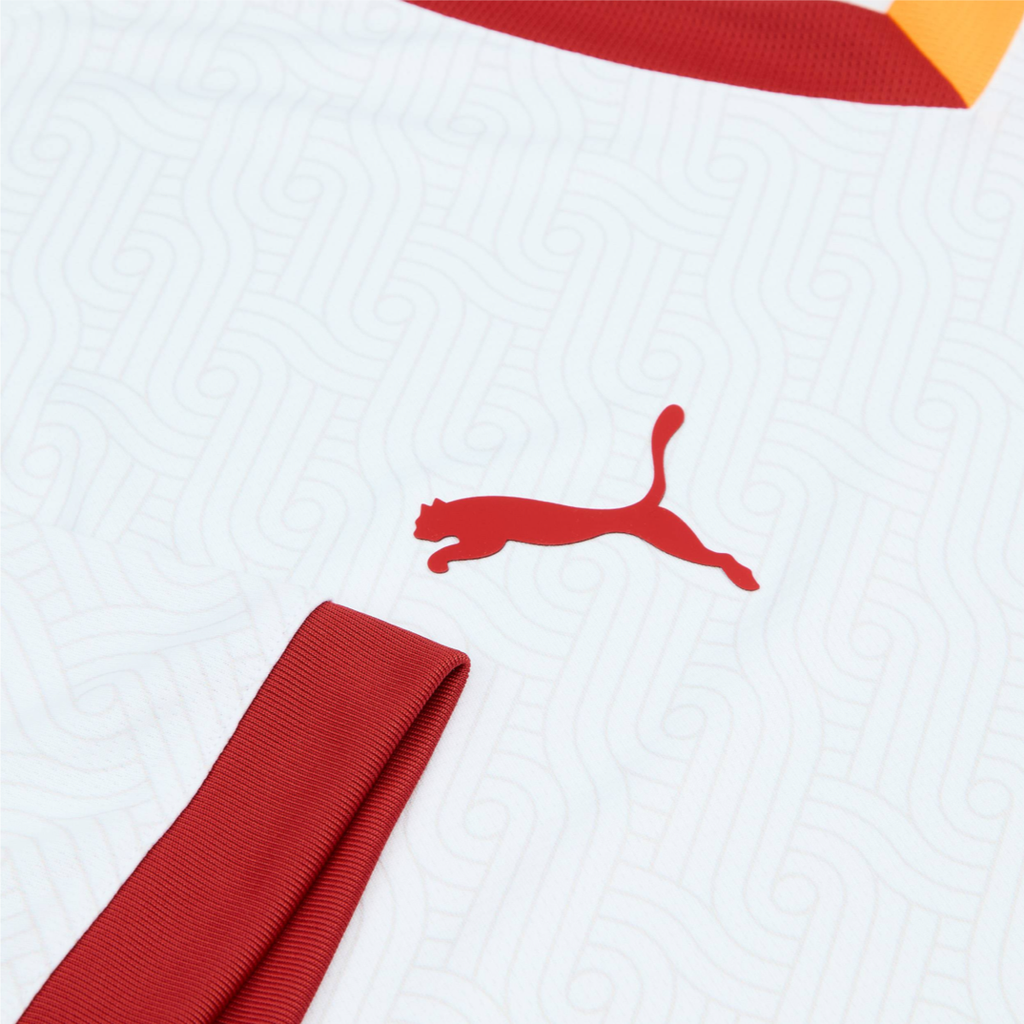 2024-25 Galatasaray SK